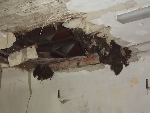 Foto 54